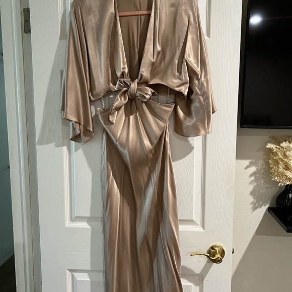 Camila Cohelo Nude dress - Picture 3 of 4